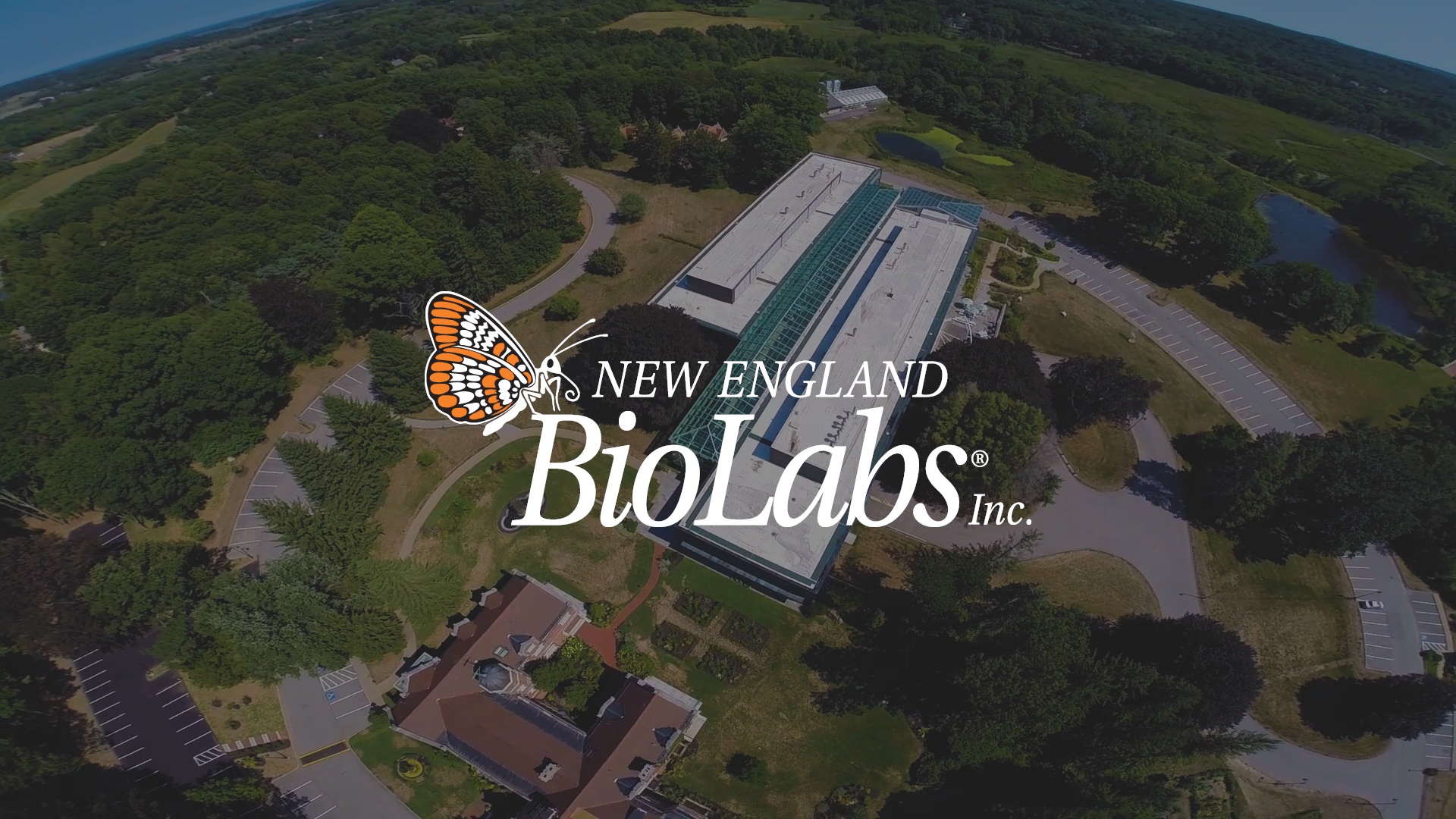 New England BioLabs Tech Air